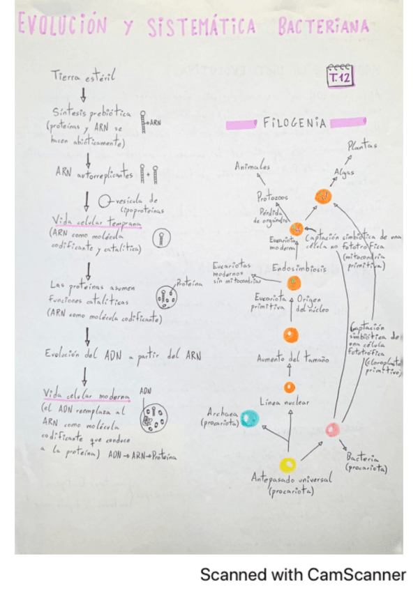 Miniatura del documento Microbiologia.pdf