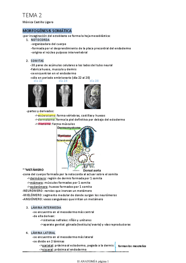 Miniatura del documento TEMA-2.pdf
