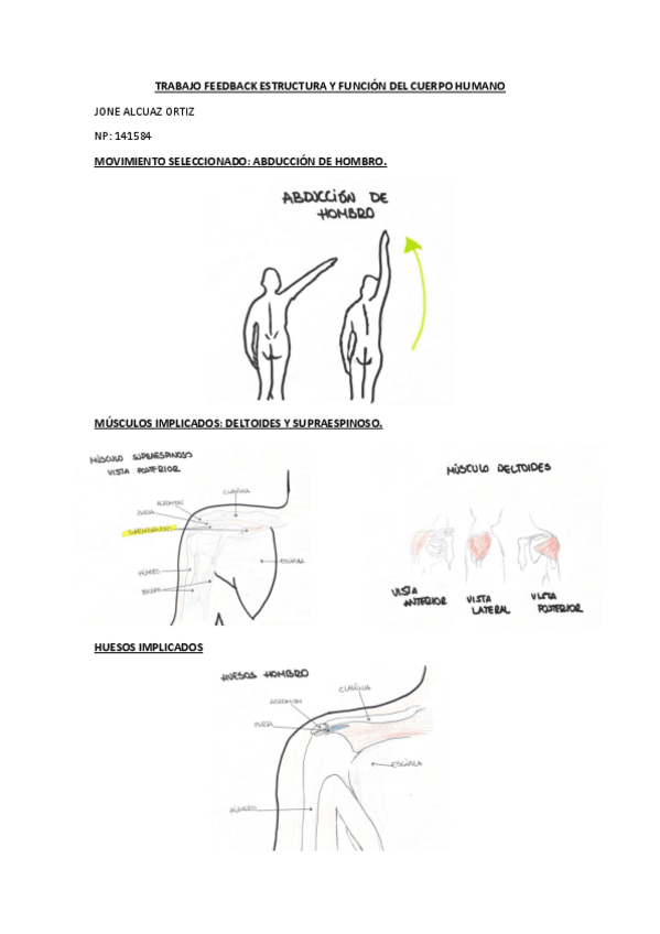 Miniatura del documento FEEDBACK-EFCH.pdf