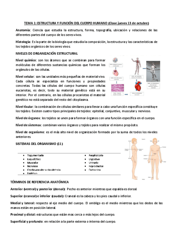 Miniatura del documento TEMA-1-APUNTES-Y-SEMINARIOS.pdf