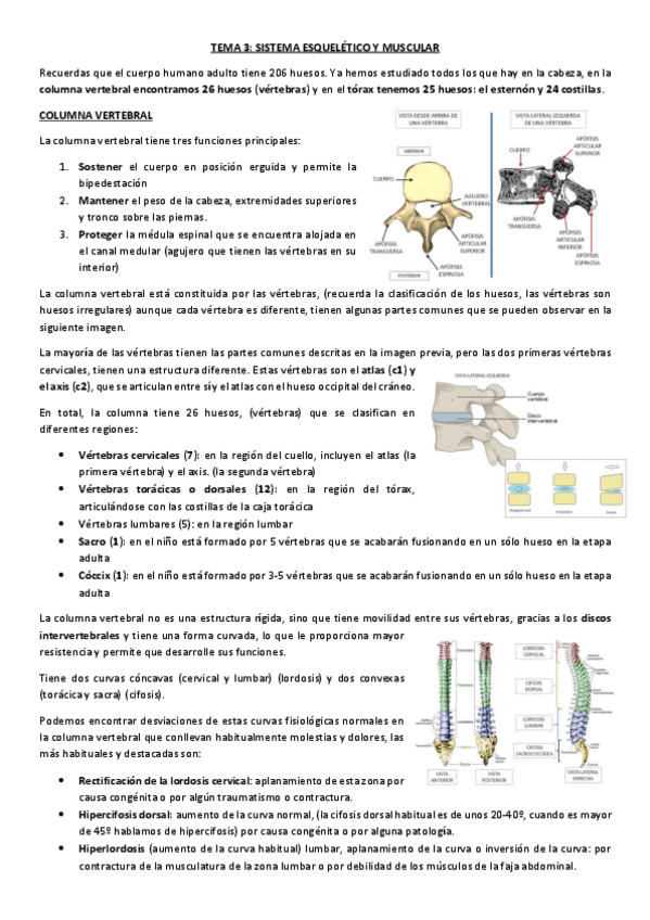 Miniatura del documento TEMA-3-APUNTES-Y-SEMINARIOS.pdf