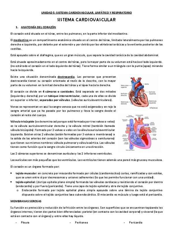 Miniatura del documento TEMA-5-APUNTES-Y-SEMINARIOS.pdf