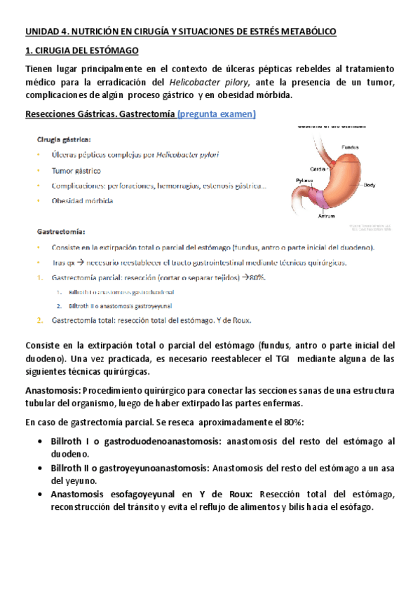 Miniatura del documento UNIDAD-4.pdf