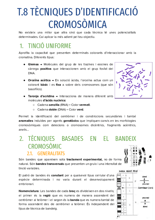 Miniatura del documento T.8-TECNIQUES-DIDENTIFICACIO-CROMOSOMICA.pdf