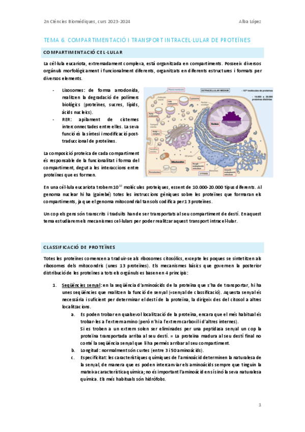 Miniatura del documento Tema-6.-Compartimentacio-i-transport-intracel.lular-de-proteines.pdf