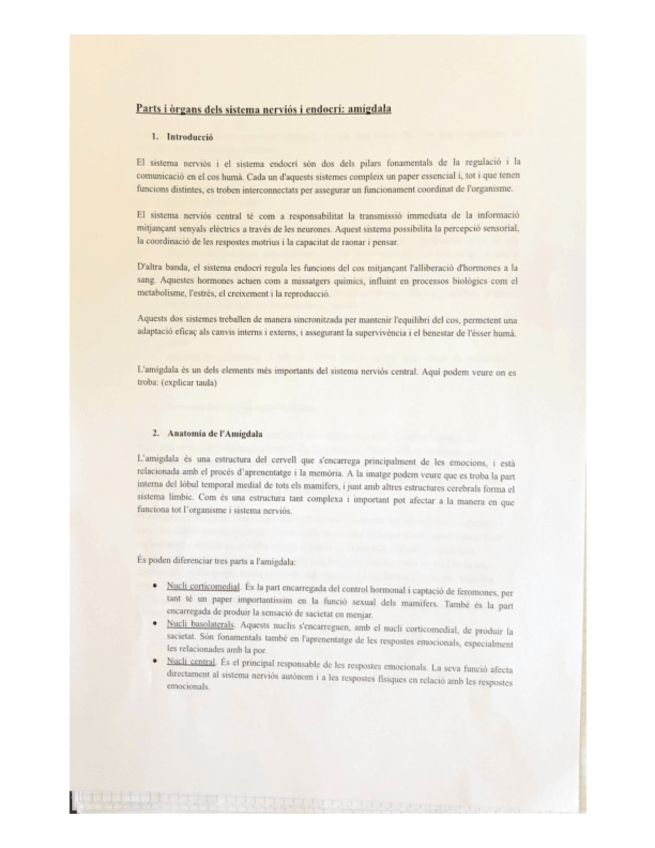 Miniatura del documento L'amigdala.pdf