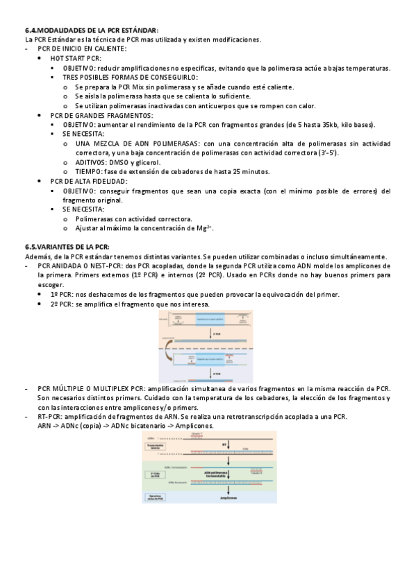 Miniatura del documento PCR-Y-TEMA-7-BIO.pdf