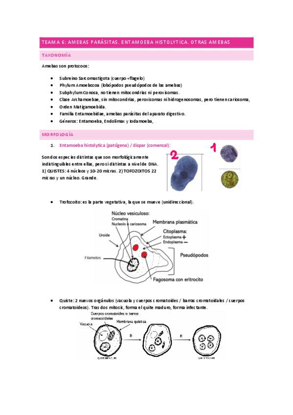 Miniatura del documento Tema-6-final.pdf
