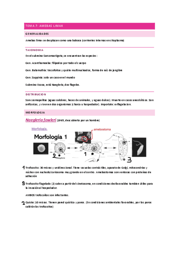 Miniatura del documento TEMA-7-final.pdf