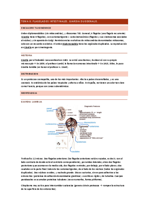 Miniatura del documento TEMA-8.pdf