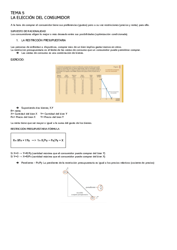 Miniatura del documento Tema-5.pdf