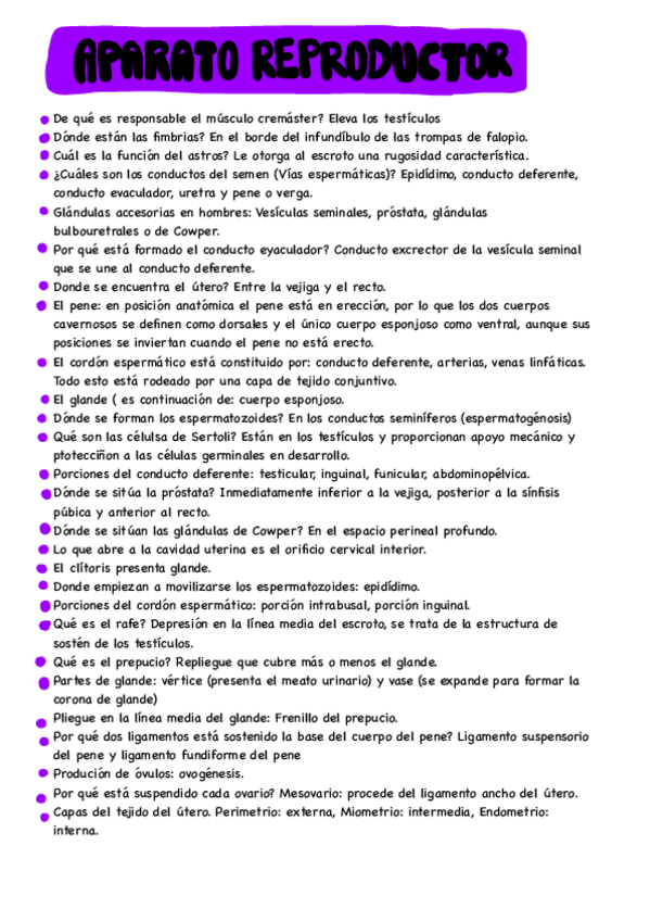 Miniatura del documento reproductor-EXAMEN.pdf