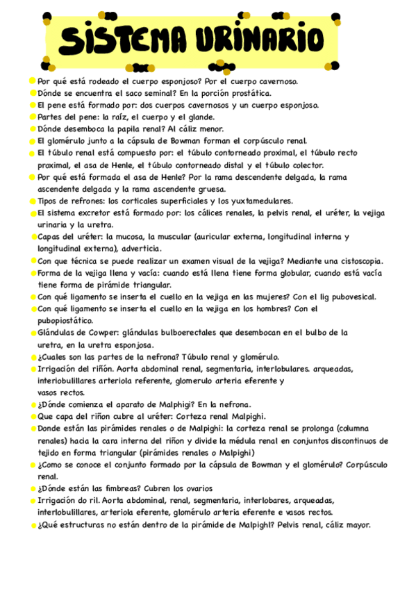 Miniatura del documento URINARIO-EXAMEN.pdf