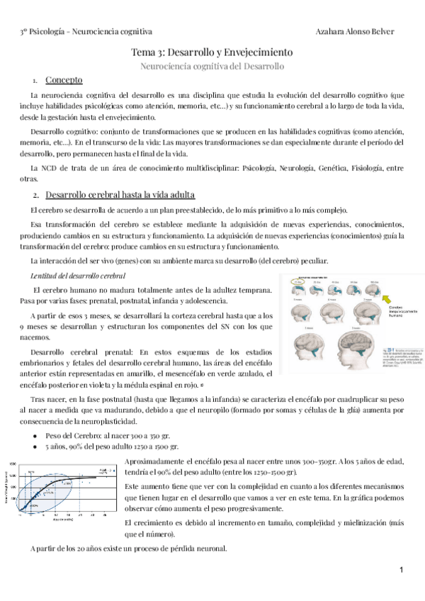 Miniatura del documento Tema-3-Neurociencia-cognitiva.pdf