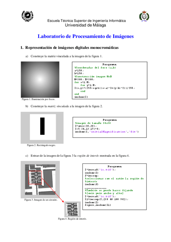 Miniatura del documento PRACTICAS  PIV_cv.pdf