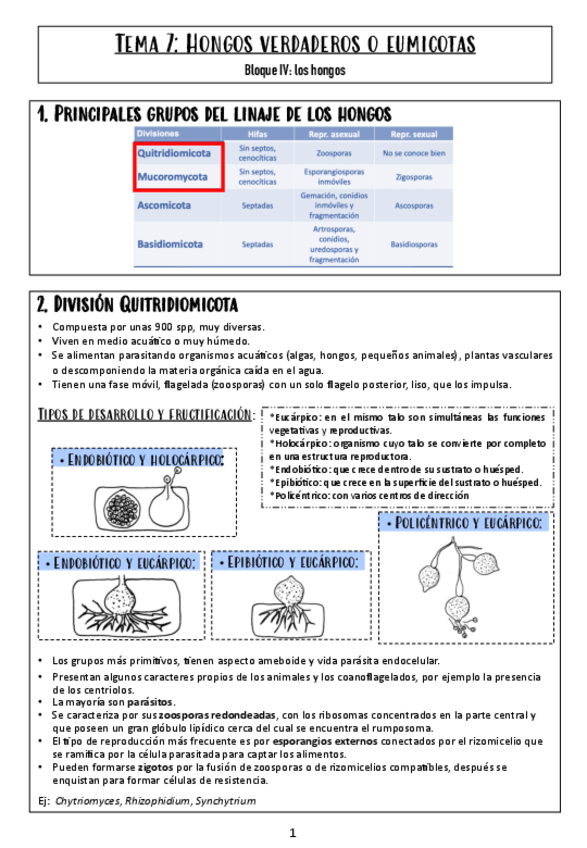 Miniatura del documento Tema-7.pdf