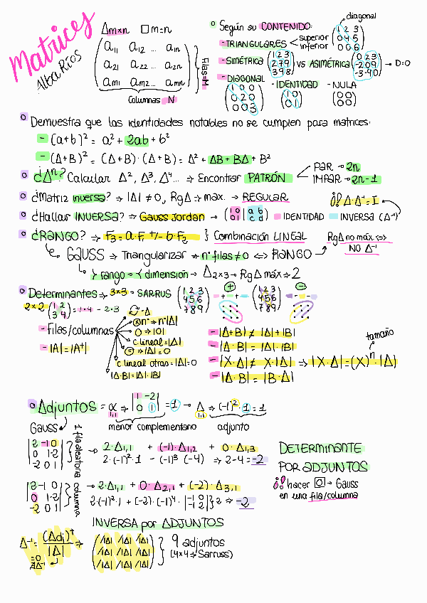 Miniatura del documento MATRICES-DETERMINANTES-ADJUNTOS-2BACHILLER.pdf