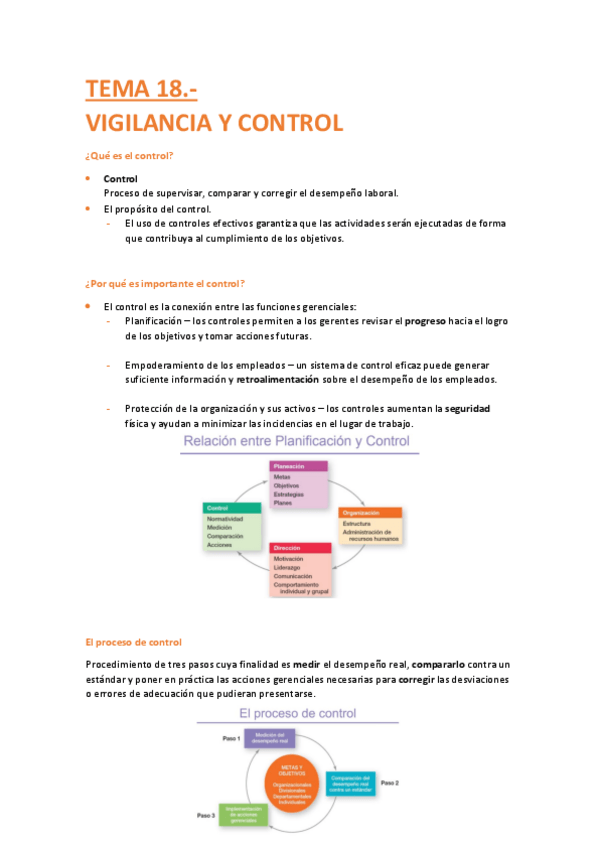 Miniatura del documento T.18-IAE.pdf