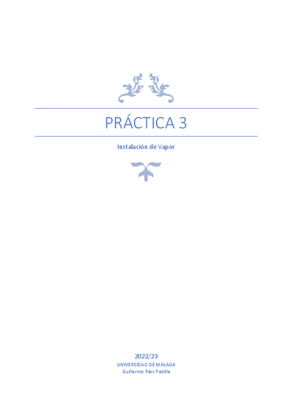 Miniatura del documento Practica-Instalacion-de-Vapor.pdf