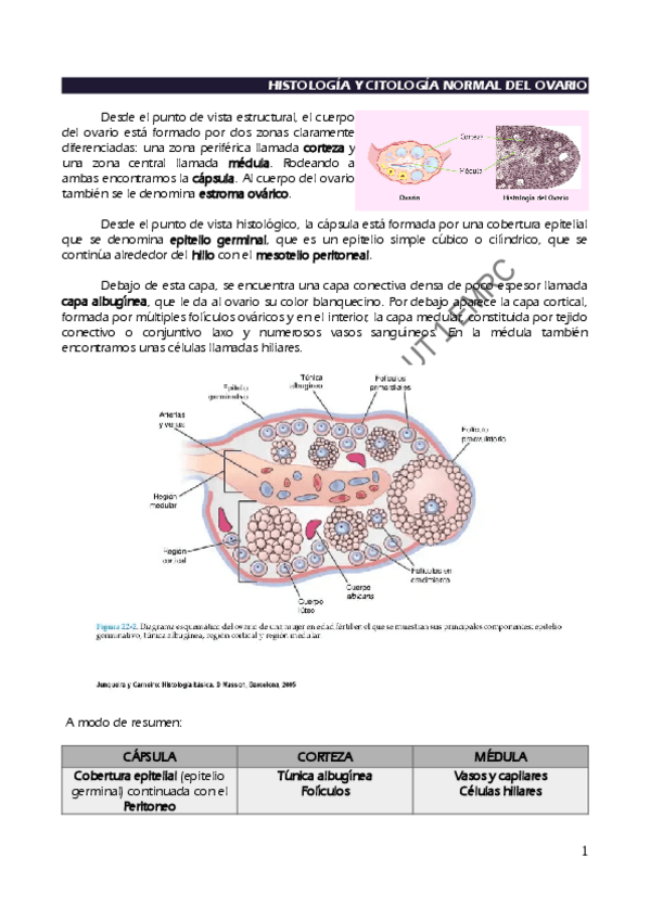 Miniatura del documento Citologia-e-histologia-del-ovario.pdf