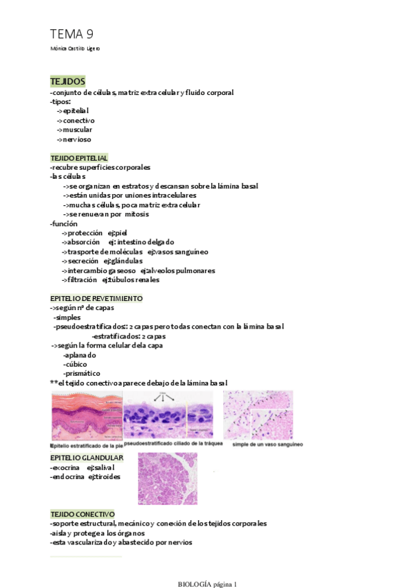 Miniatura del documento TEMA-9.pdf