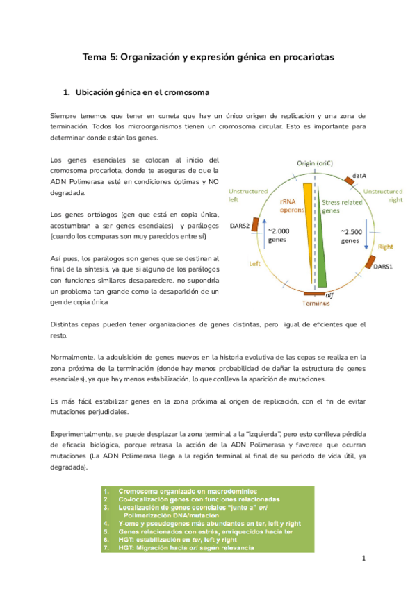 Miniatura del documento Tema-5-Organizacion-y-expresion-genica-en-procariotas.pdf