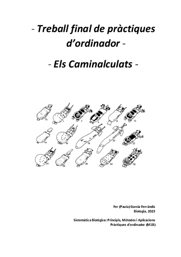 Miniatura del documento Treball-Final-Pràctiques-Sistemàtica-Caminalculats-FERR.pdf