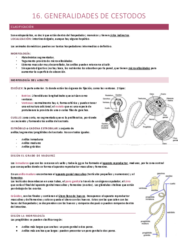 Miniatura del documento 16. Generalidades Cestodos.pdf