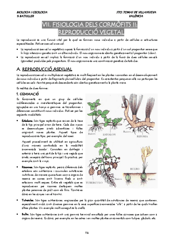 Miniatura del documento tema-07-REPRODUCCION VEGETAL.pdf