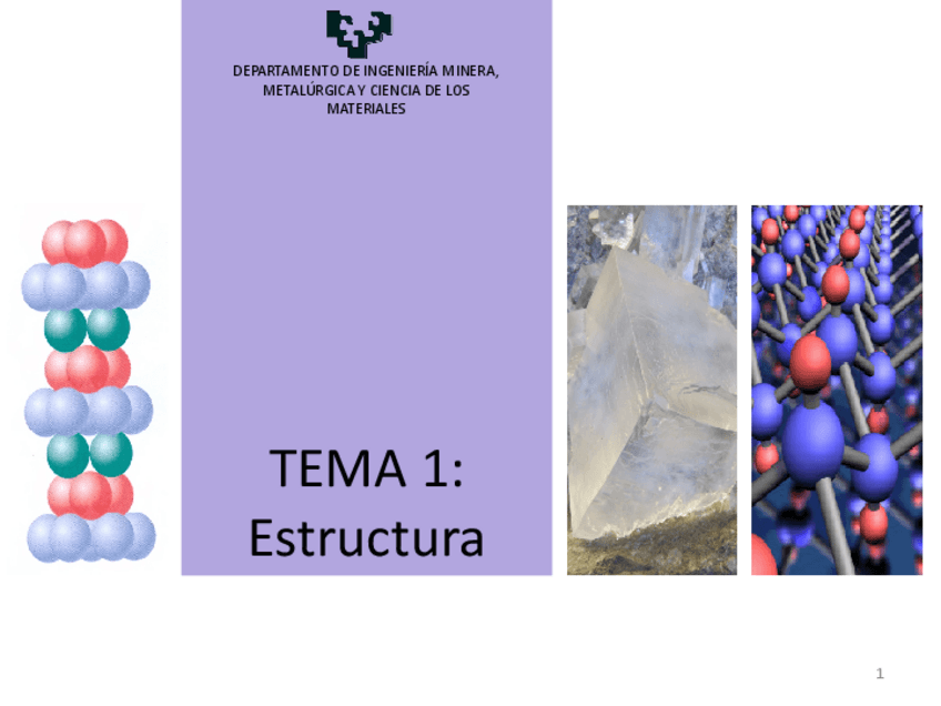 Miniatura del documento TEMA 1 Estructura.pdf
