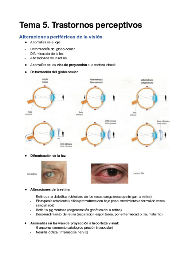 Miniatura del documento Temas-5-y-6.pdf