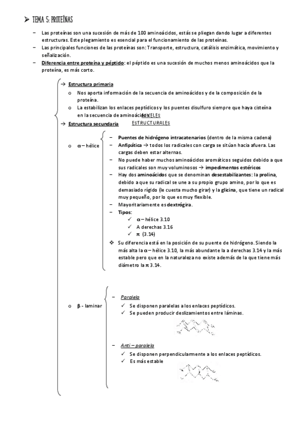 Miniatura del documento ESTRUCTURAL-proteinas.pdf