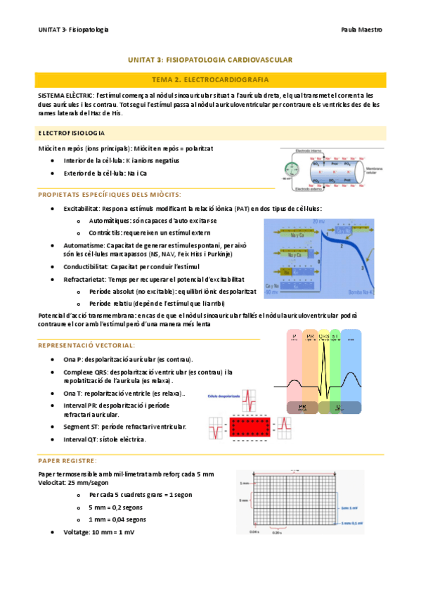 Miniatura del documento UNITAT-3.2-Fisiopatologia.pdf