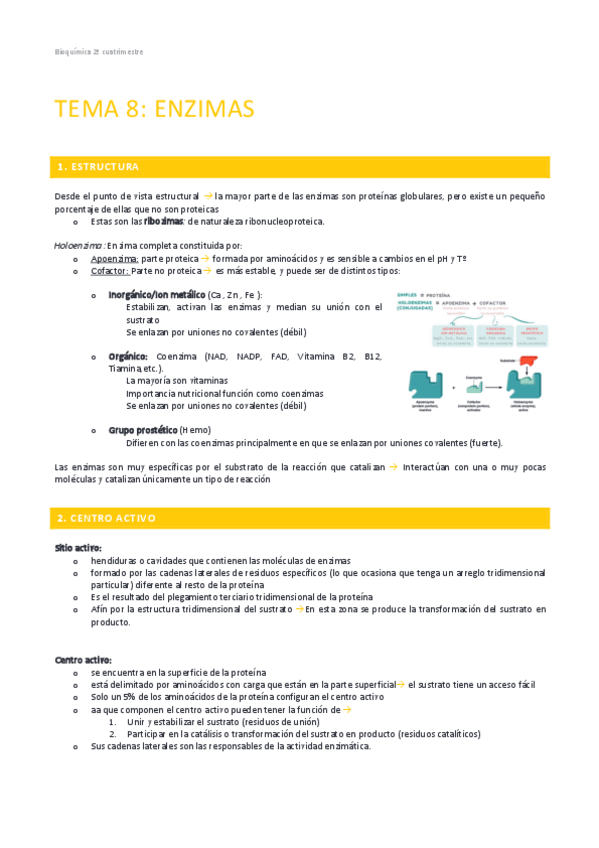 Miniatura del documento APUNTES-BIOQUIMICA-SEGUNDO-CUATRI-T8.pdf