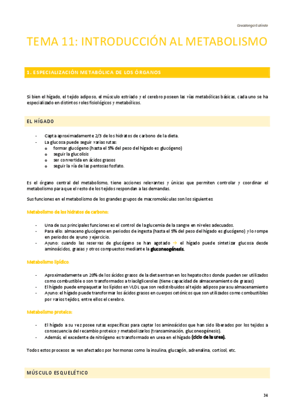 Miniatura del documento APUNTES-BIOQUIMICA-SEGUNDO-CUATRI-T11.pdf