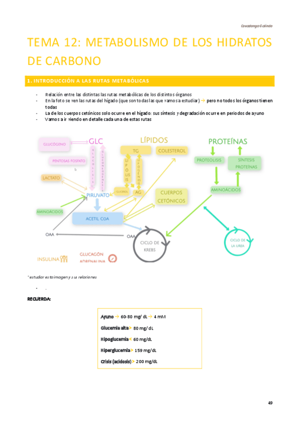 Miniatura del documento APUNTES-BIOQUIMICA-SEGUNDO-CUATRI-T12.pdf