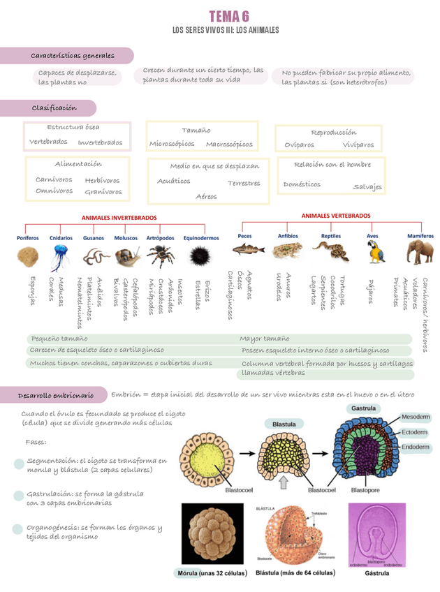 Miniatura del documento Tema-6-Naturales-I.pdf
