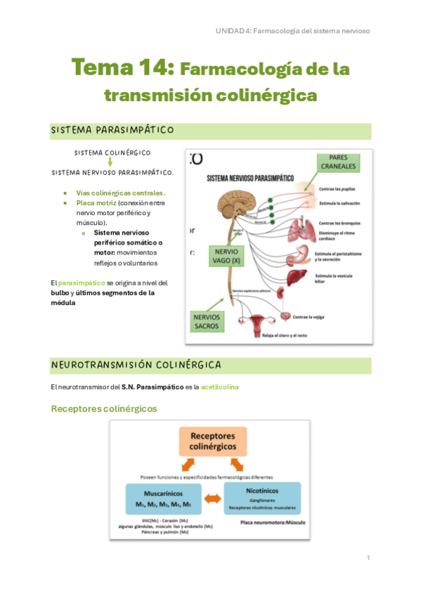Miniatura del documento Tema-14.pdf