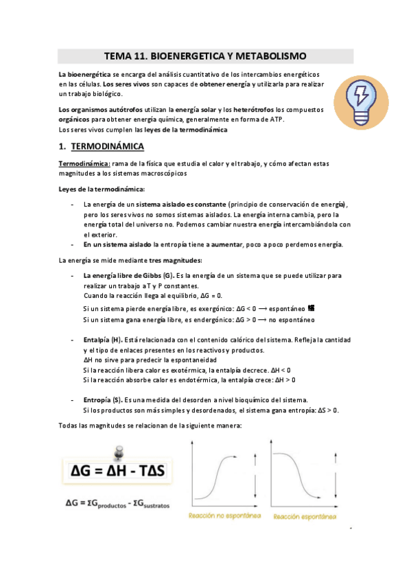 Miniatura del documento TEMA-11-12-13.pdf