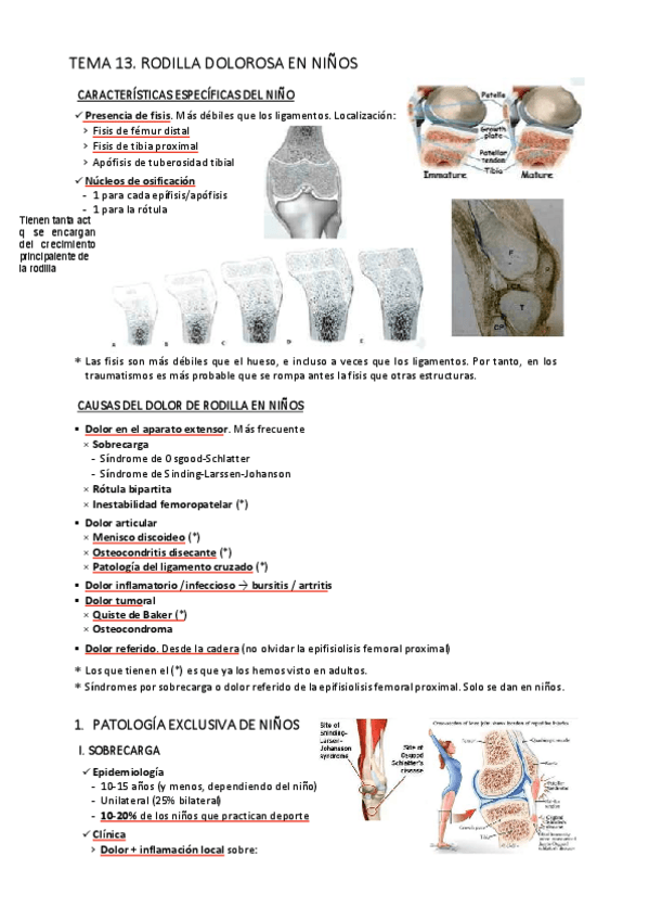 Miniatura del documento T13.-Rodilla-dolorosa-en-ninos.pdf