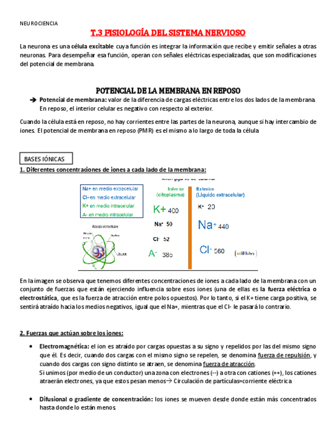 Miniatura del documento Tema-3-neurociencia.pdf