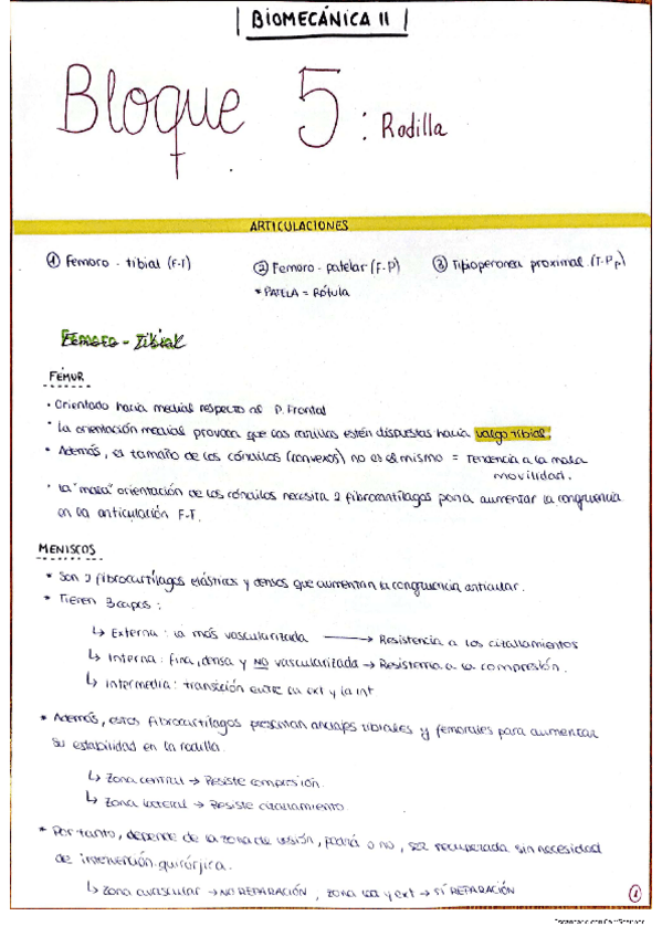 Miniatura del documento Bloque-5-Biomec-Rodilla-Sarah-Yague.pdf