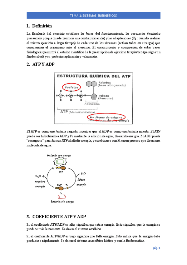 Miniatura del documento TEMA-1.pdf