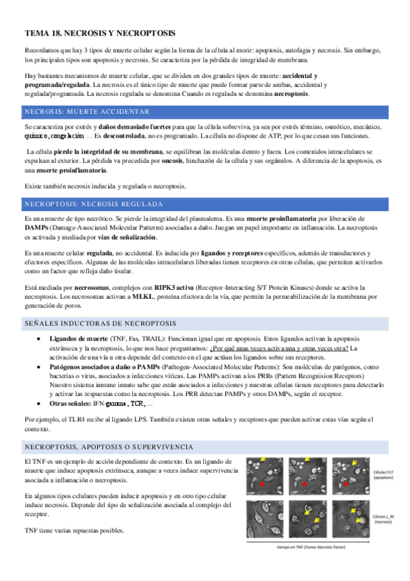 Miniatura del documento TEMA-18.pdf