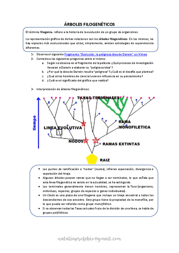 Miniatura del documento 7.-Arboles-filogeneticos.pdf