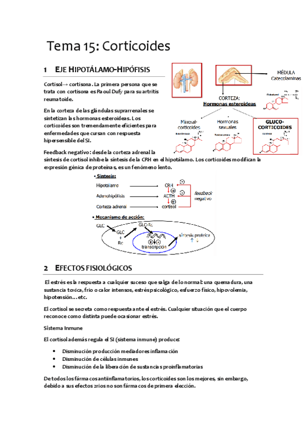 Miniatura del documento CORTICOIDES.pdf