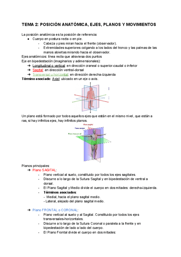 Miniatura del documento Tema-2-posicion-anatomica-ejes-planos-y-movimientos.pdf