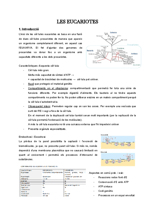 Miniatura del documento Resum-eucariotes-i-protistes.pdf