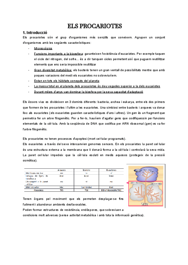 Miniatura del documento ELS-PROCARIOTES.pdf