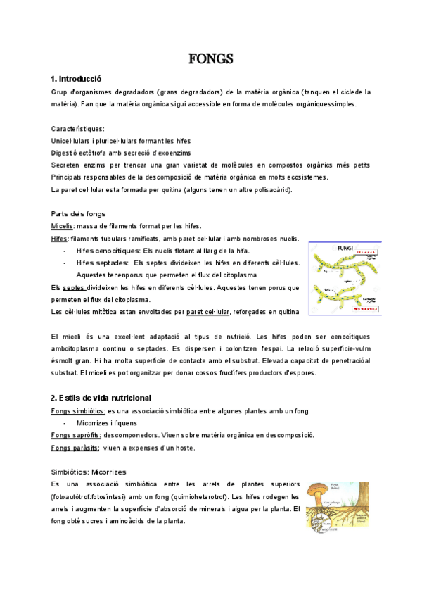 Miniatura del documento fongs-resum.pdf